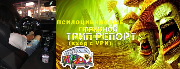 эйфоретик Алексин