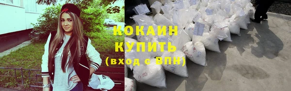 стаф Арсеньев