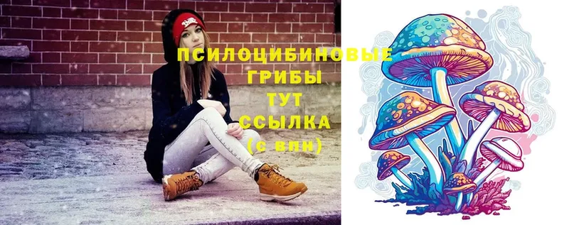 Галлюциногенные грибы Cubensis  Жуковка 